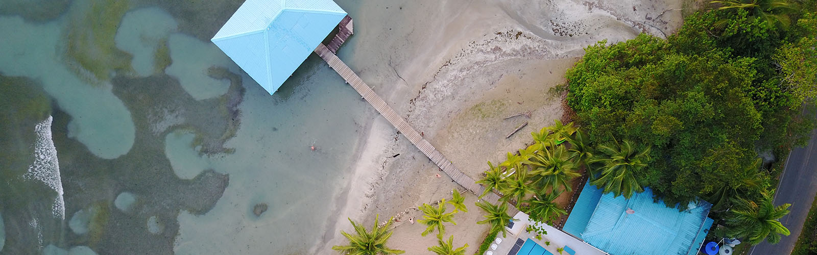 An overhead view of a tree-lined beach, with a boardwalk leading to a building in the water.